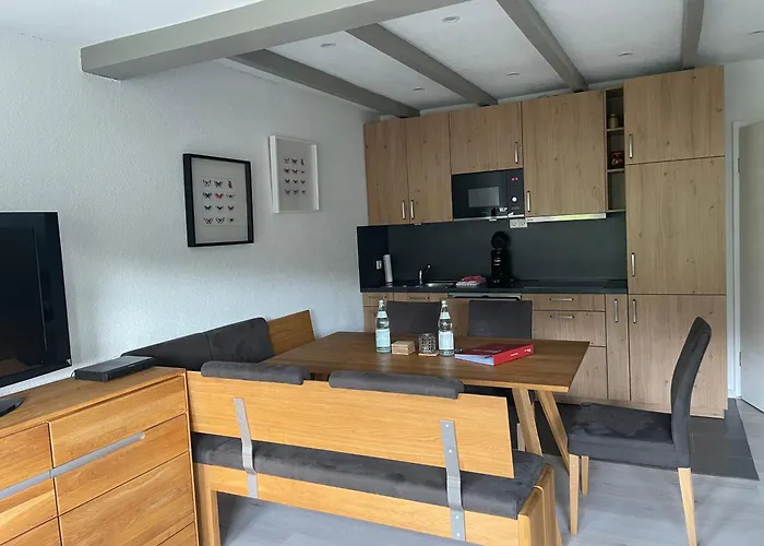 Haus am Sonnenberg,Todtnauberg, Ferienwohnung 305, direkt am Skilift-Skipiste, Nähe Feldberg